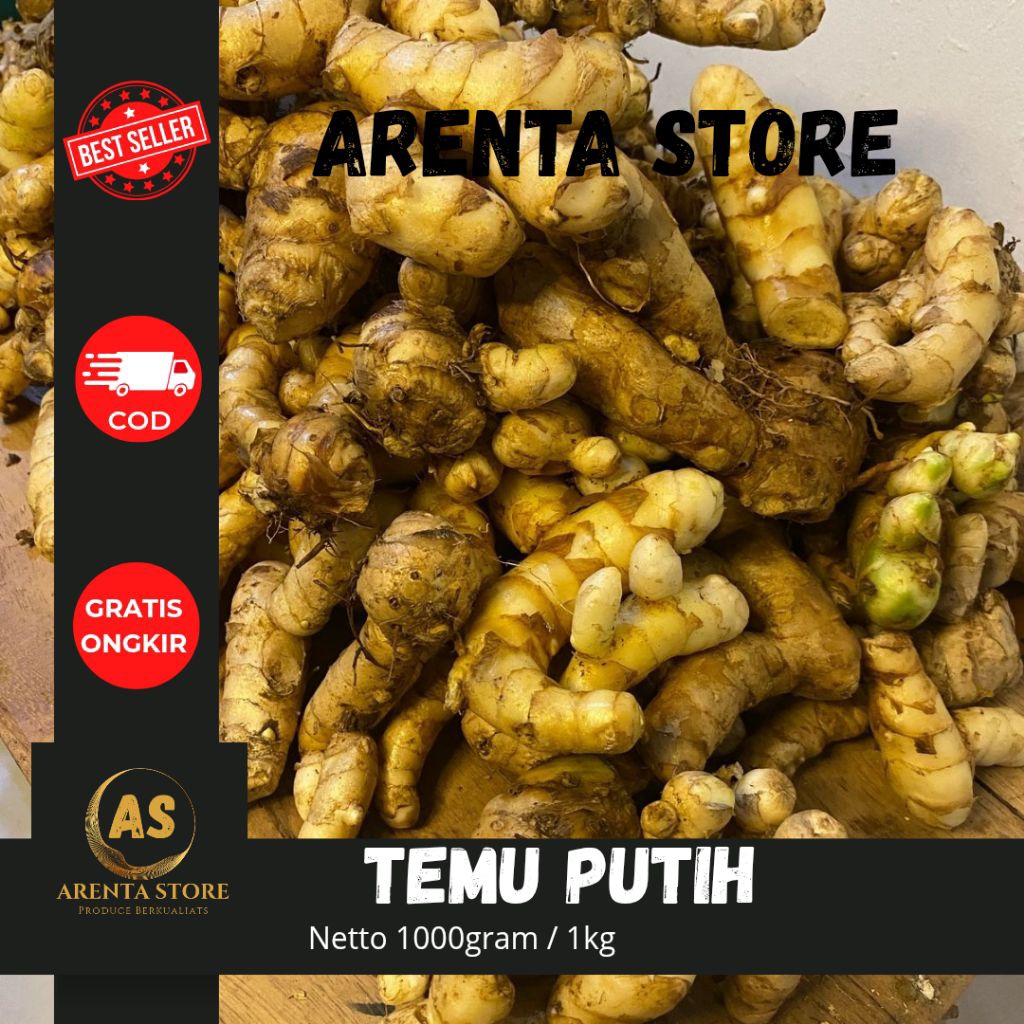 

PROMO KUNYIT/TEMU PUTIH SEGAR 1KG CURCUMA ZEDOARIA HERBAL