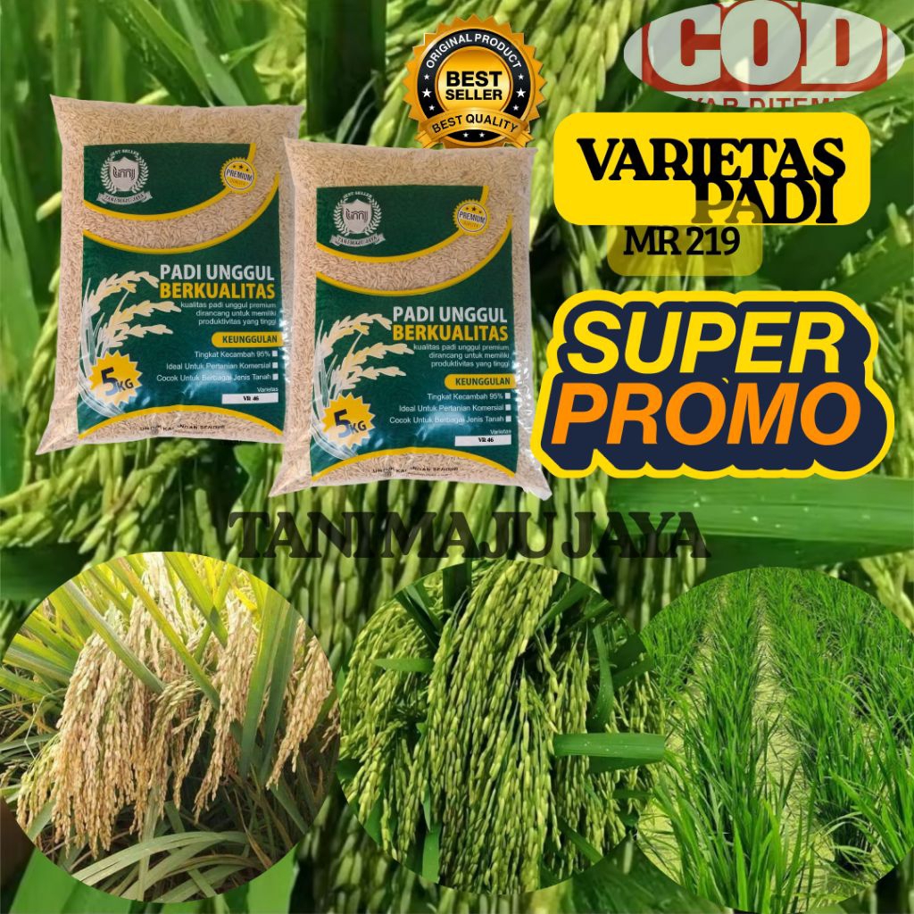 SUPER PROMO 10 KG BIBIT PADI BENIH PADI UNGGUL VARIETAS MR 219 KEMASAN 5 KG