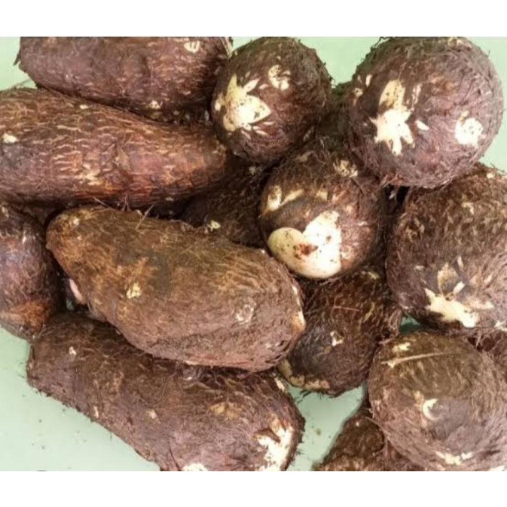 

talaskimpulberkualitasper1kg