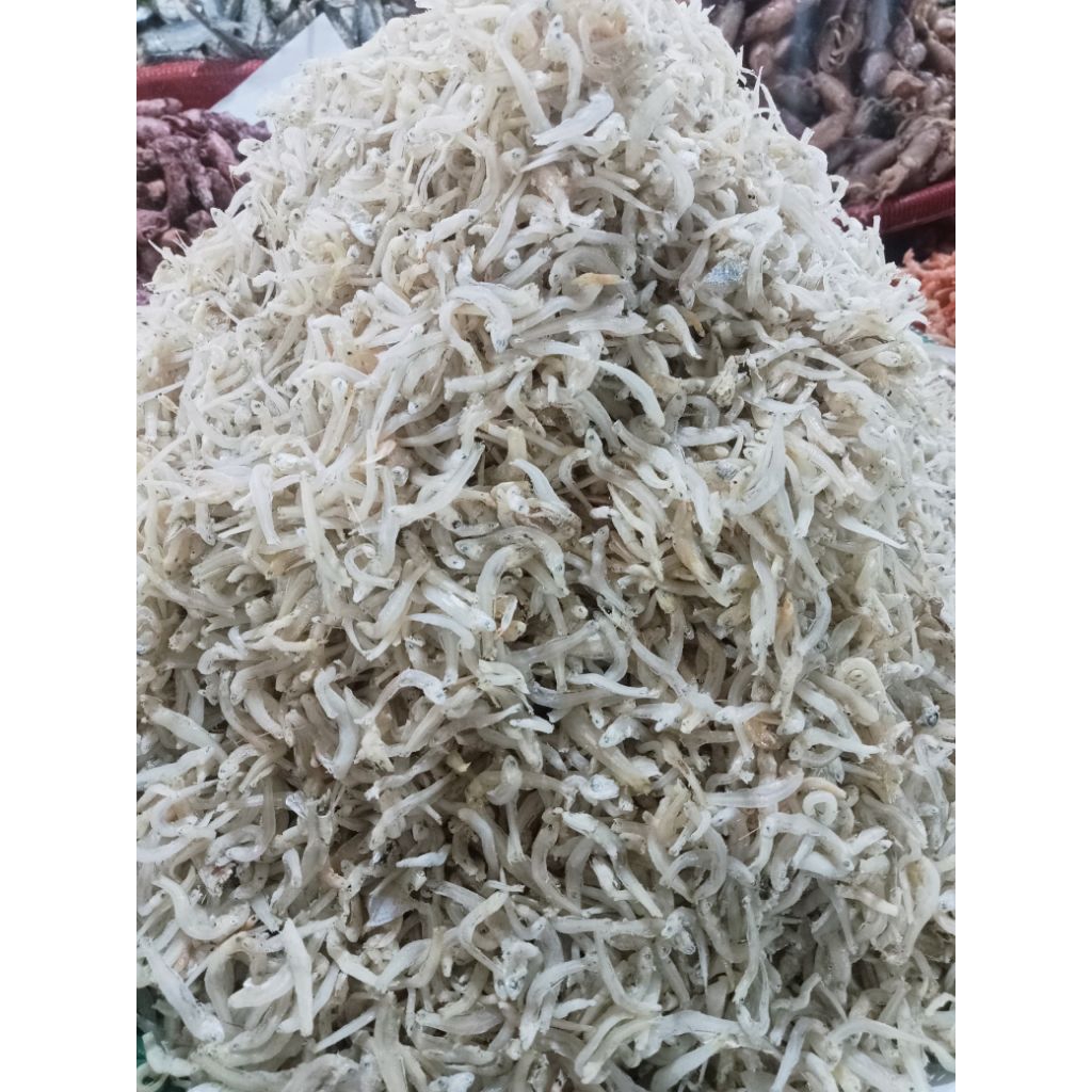 

Teri Nasi Sungsang ♛ Teri Nasi Kualitas Premium