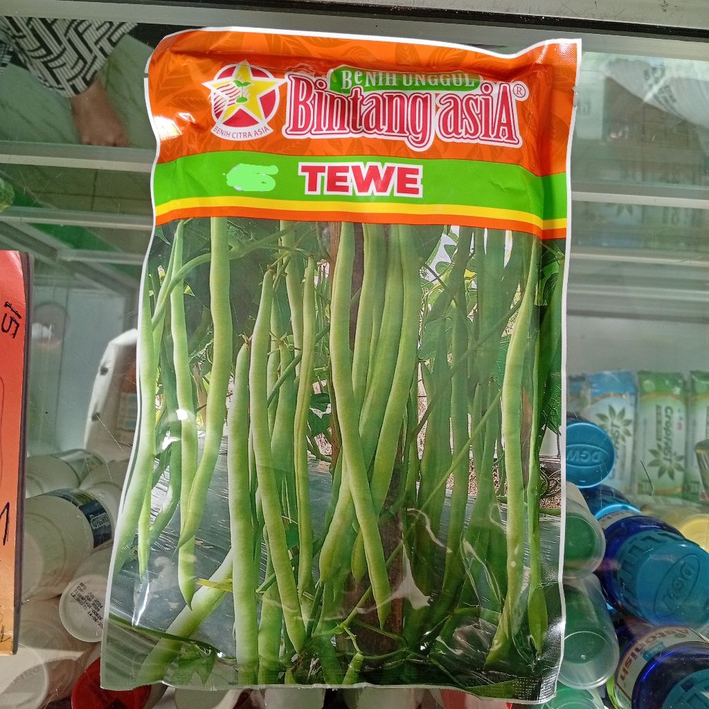 benih buncis tewe 500gram bintang asia