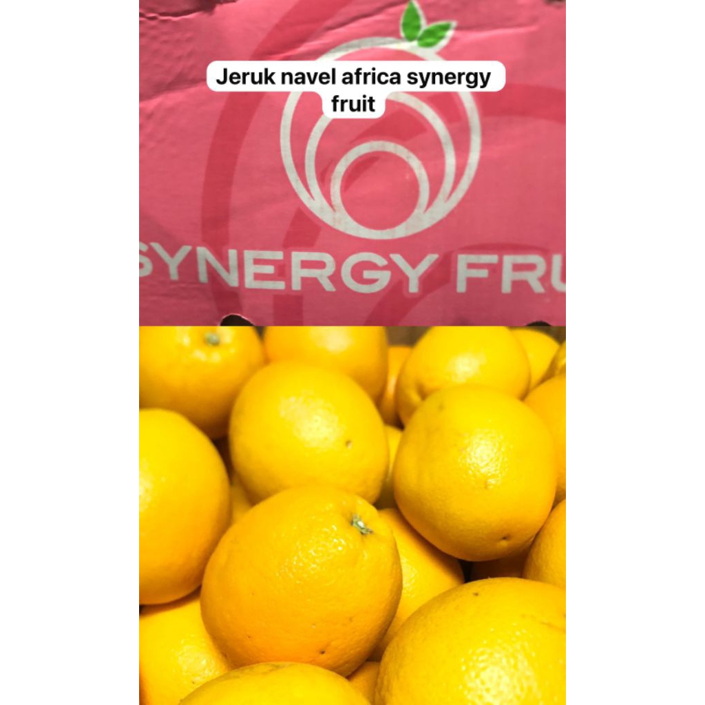 

Jeruk Navel Africa Synergy Fruit /kg