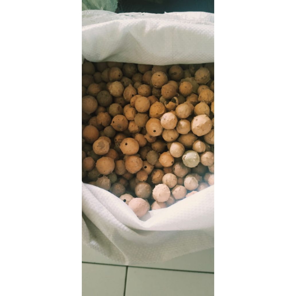 

Buah majakani 100 gram