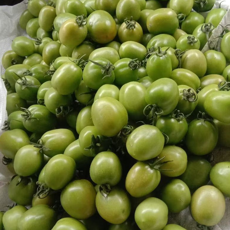 

2 kg Tomat Ijo Sedang - Kecil Tomat Buah Fresh