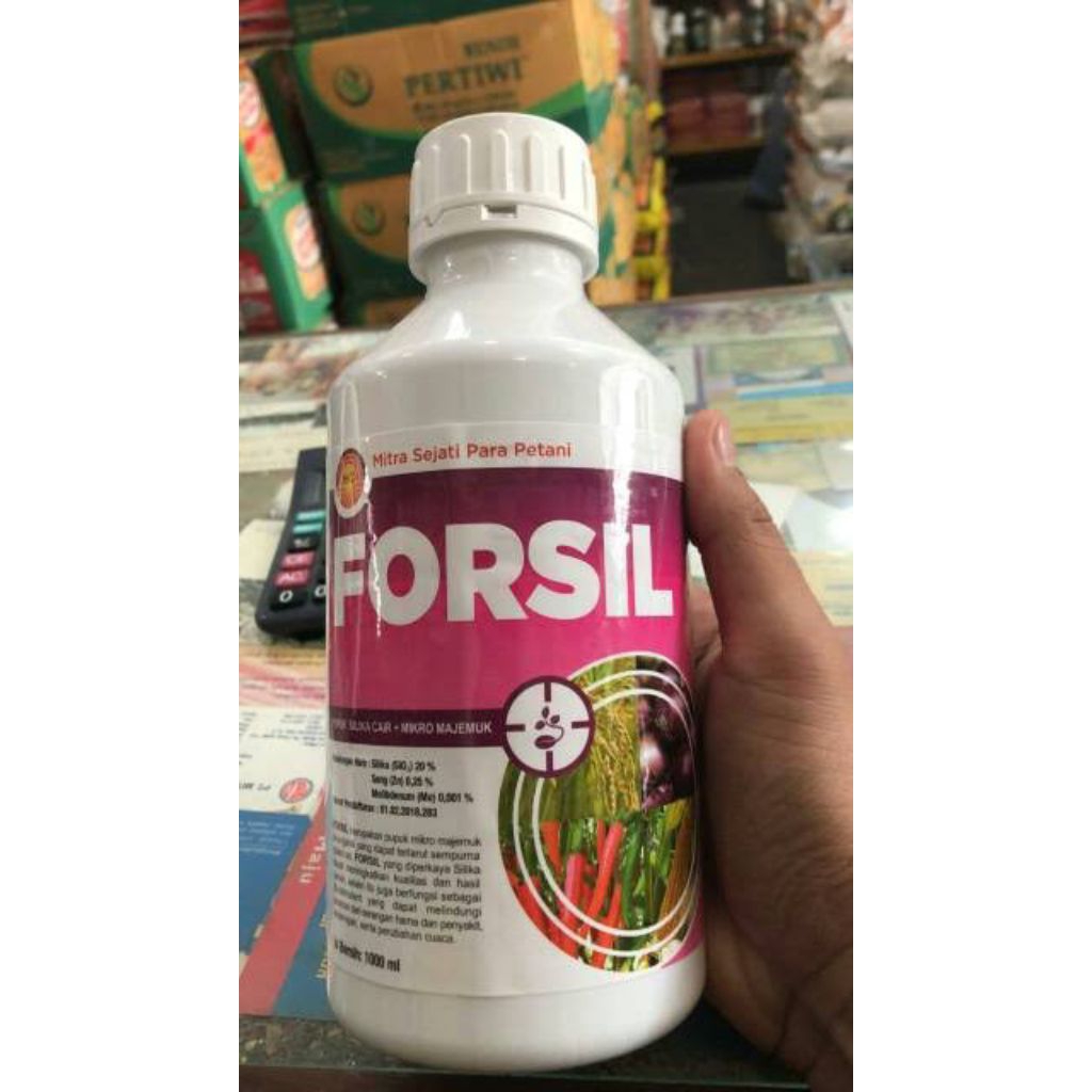 Forsil