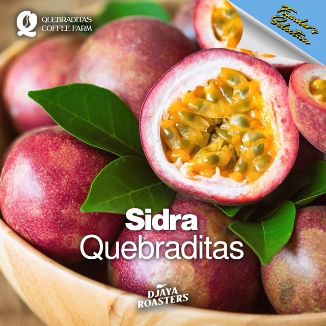 

Sidra Quebraditas Thermal Shocked - Filter Coffee