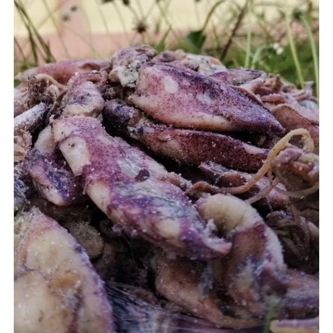 

IKAN CUMI ASIN *Original Premium 100gr*