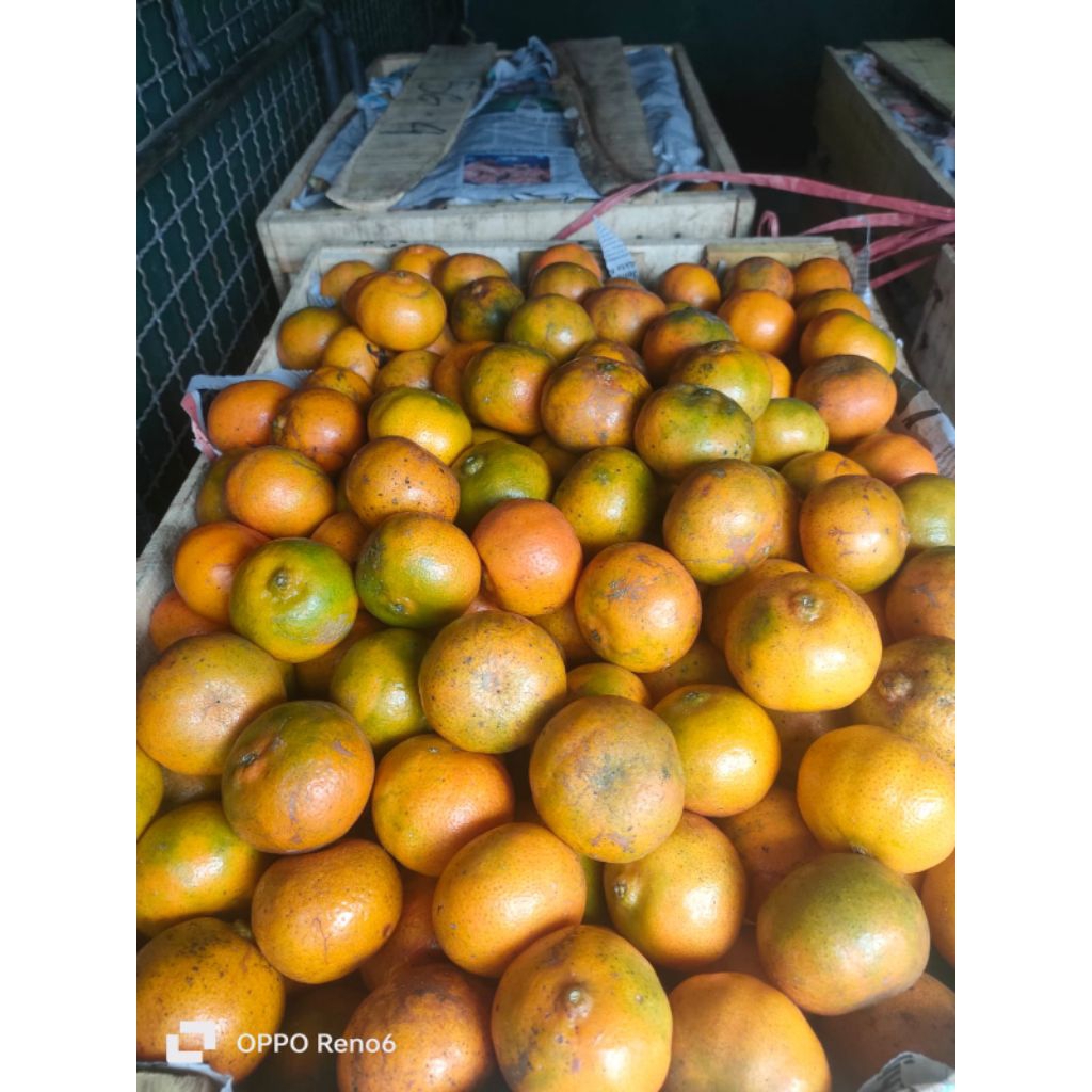 

jeruk slopen madu 3 kilo