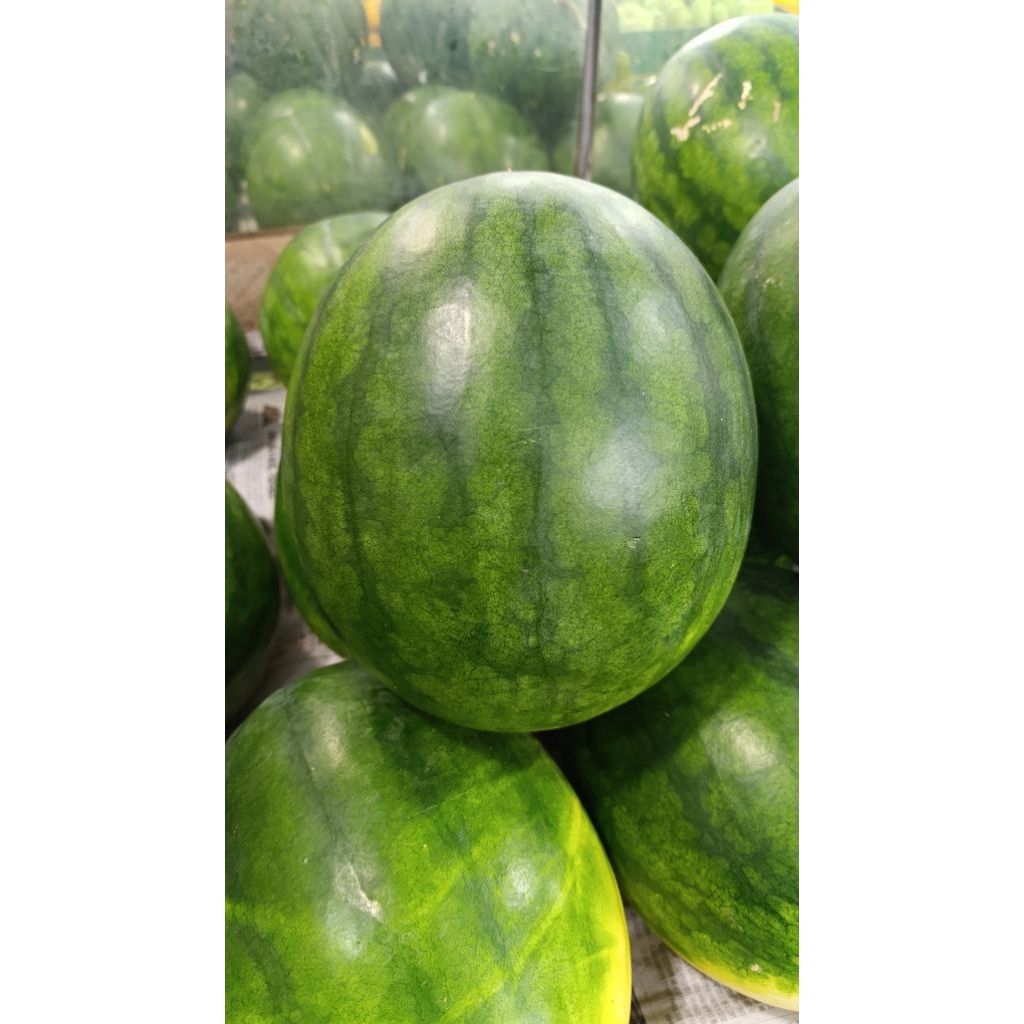 

kirim instant buah semangka merah non biji berat 4,6kg