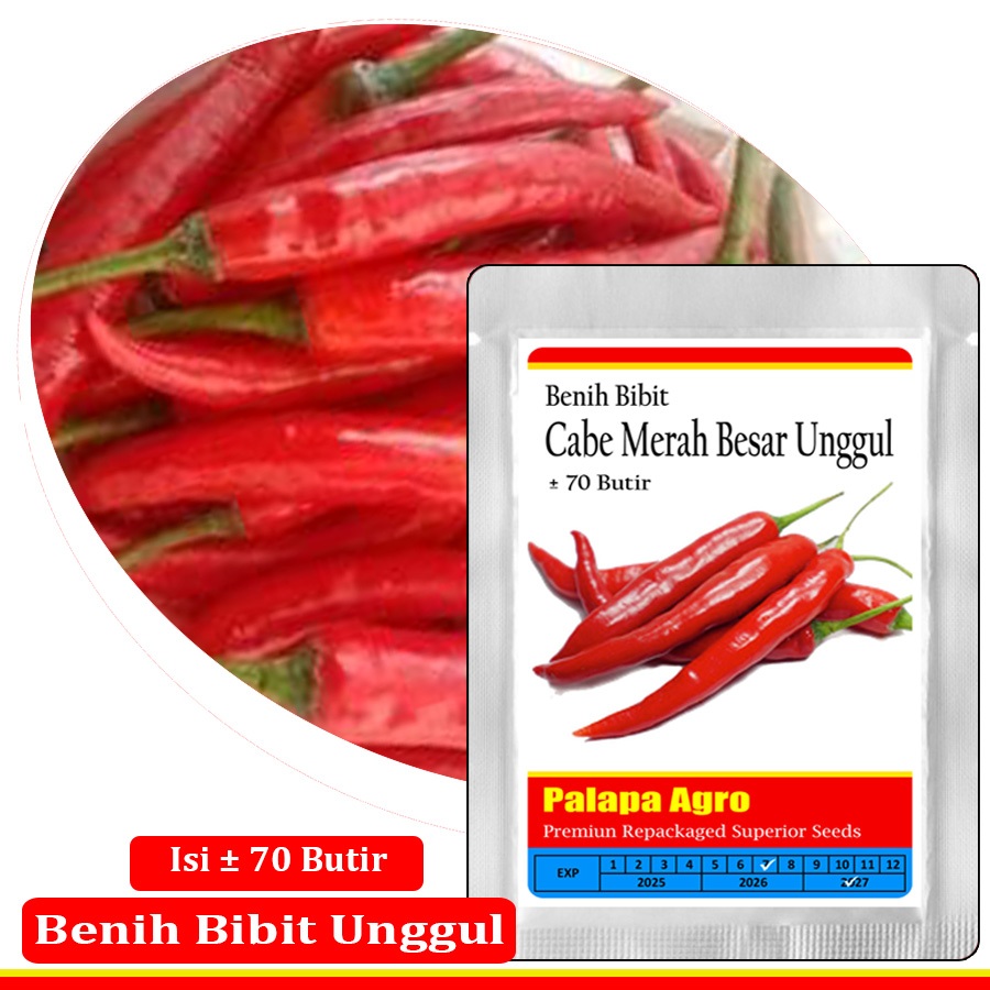 Cabe Merah - Benih Bibit Cabe Merah Besar Unggulan Isi ±70 Bibit