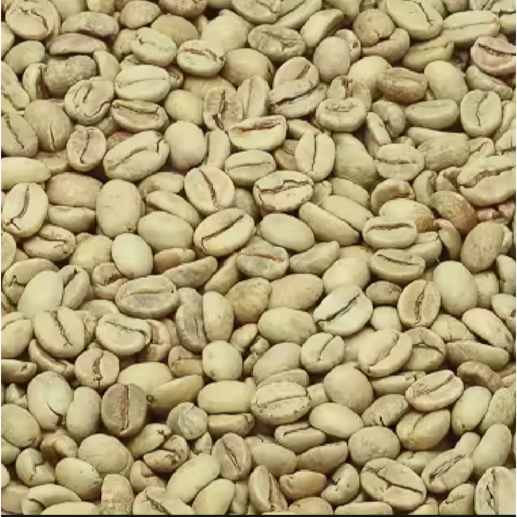 BIJI KOPI ARABIKA YELLOW BOUBON/KOPI ARABIKA BIJI KUNING