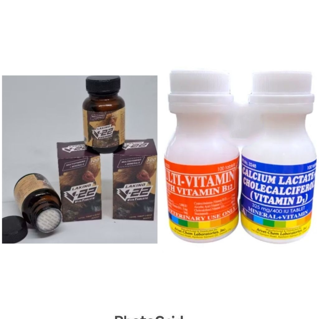MULTIVITAMIN/CALCIUM LACTATE/V-22 BELMAN PAKET RAWATAN UNTUK AYAM LAGA