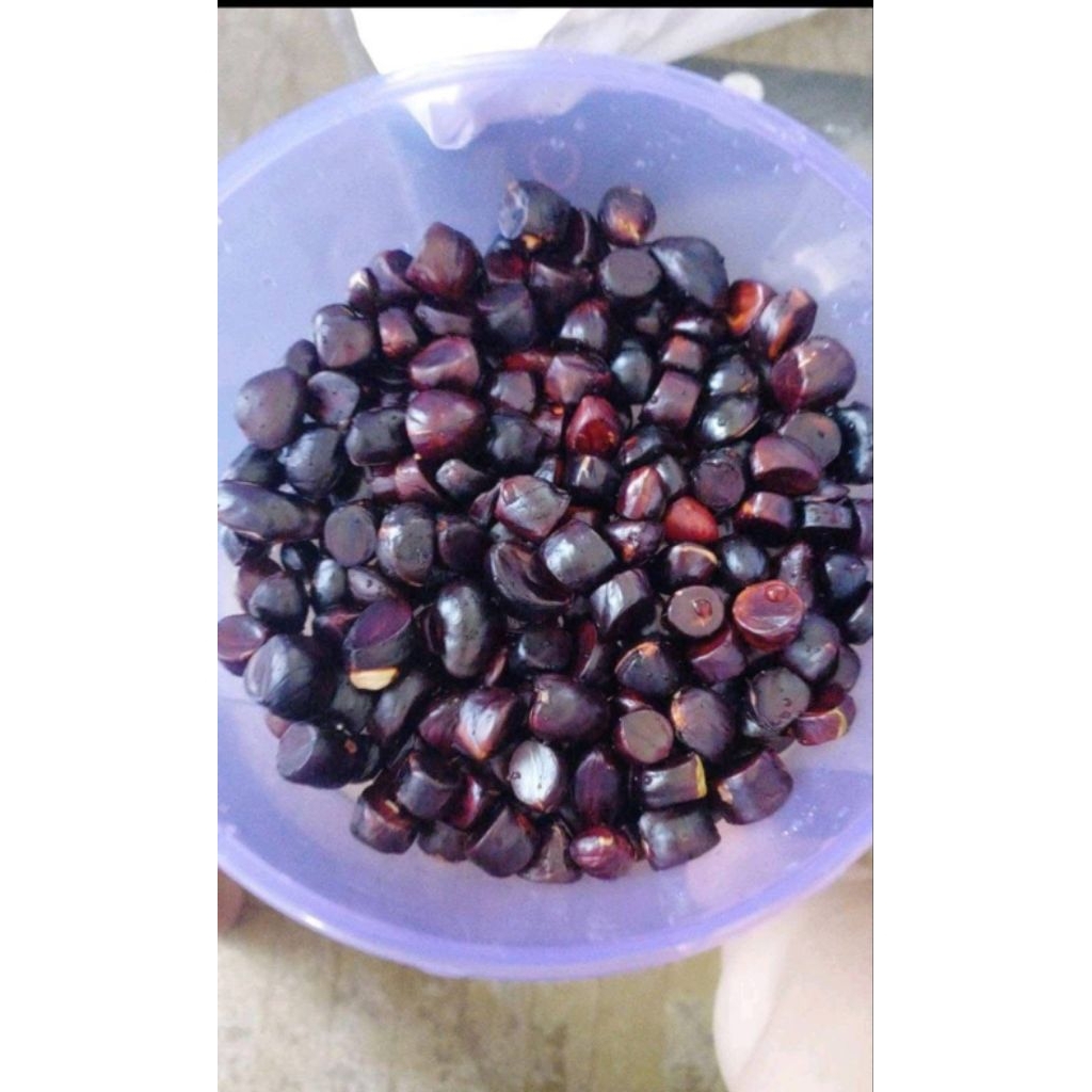 

KABAU JOLANG JALING SUMATRA MAKANAN KHAS