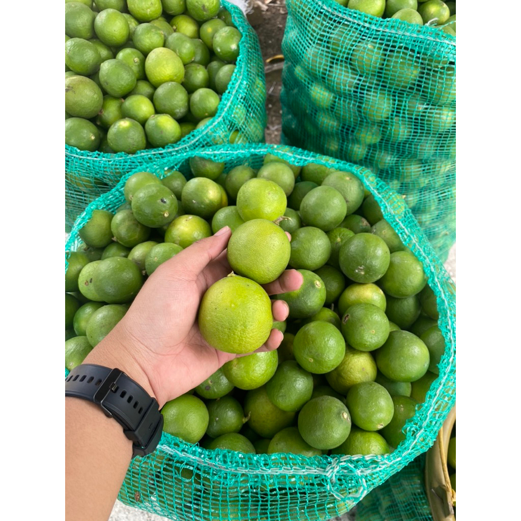 

jeruk nipis segar 1 kg