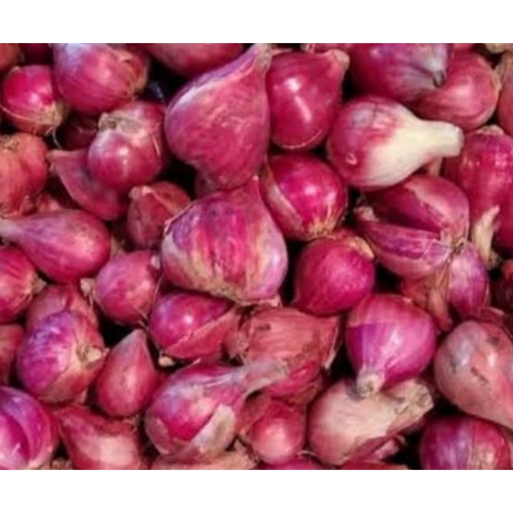 

bawang merah asli berebes super besar