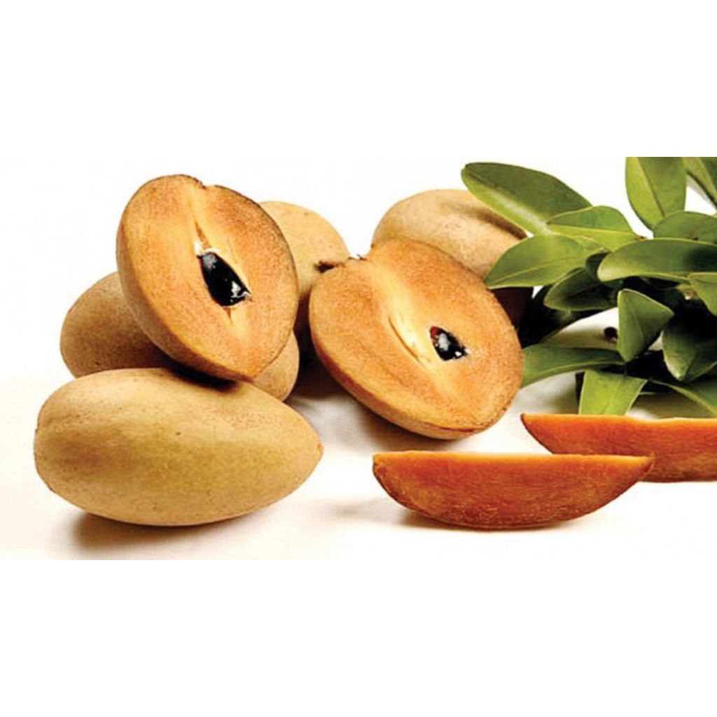 

Sawo Madu Segar Asli Pohon - Buah Fresh Langsung Petani 1 Kg