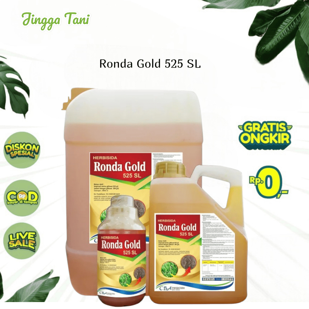 RONDA GOLD 525 SL Kemasan 5 Liter - Isopropil Amina Glifosat - CBA - Herbisida Sistemik