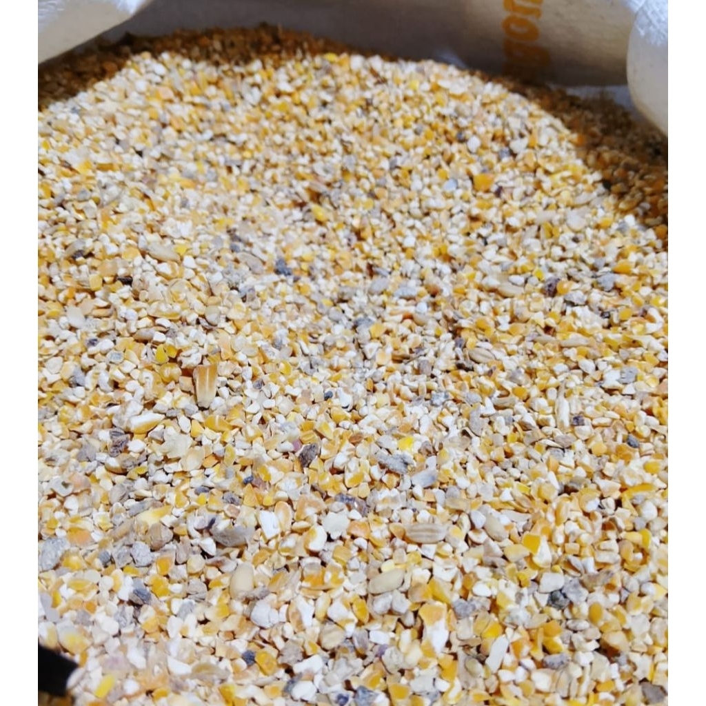 

Menir jagung grade B untuk peternak