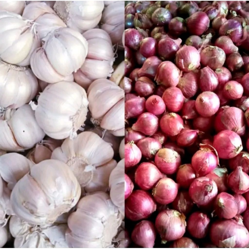 

BAWANG CAMPUR 500gr (250gr BAWANG MERAH + 250gr BAWANG PUTIH)