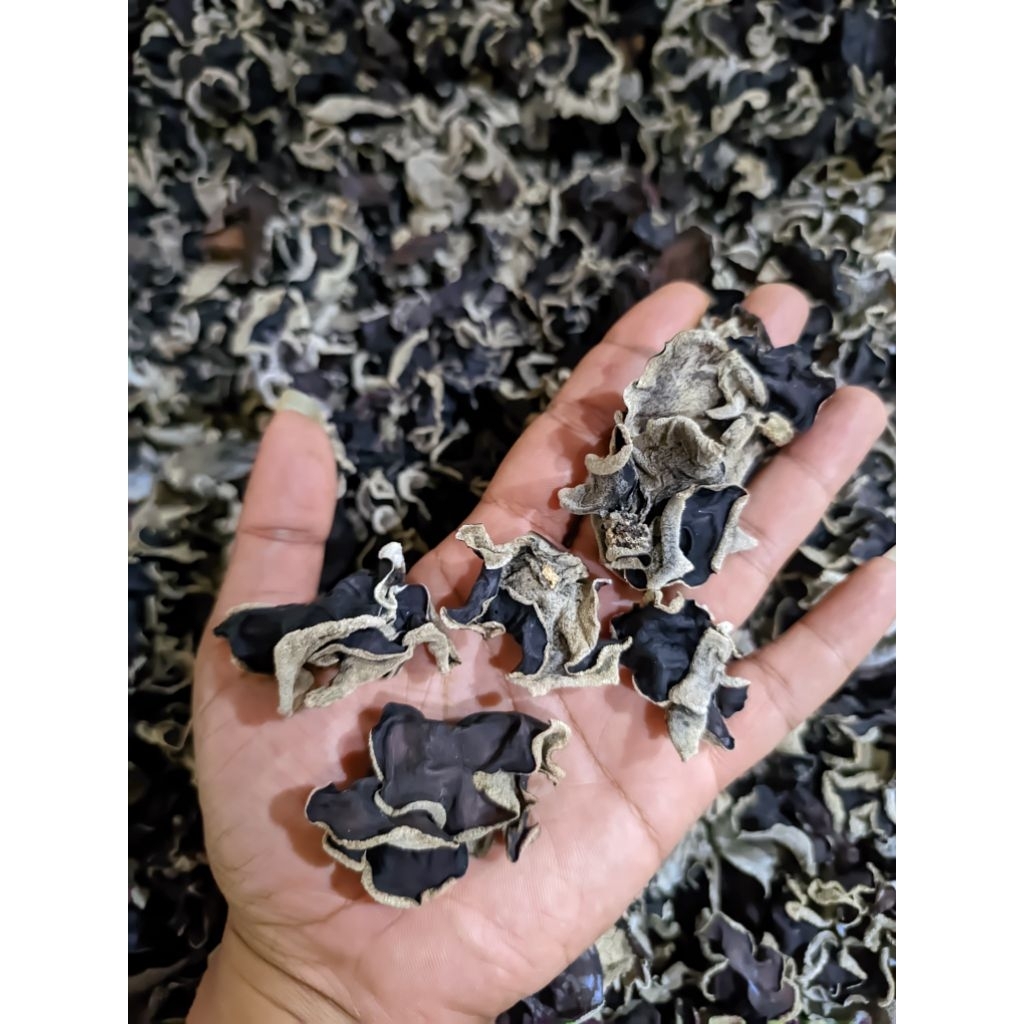 

Jamur Kuping 1kg Kering curah daun kecil mix food