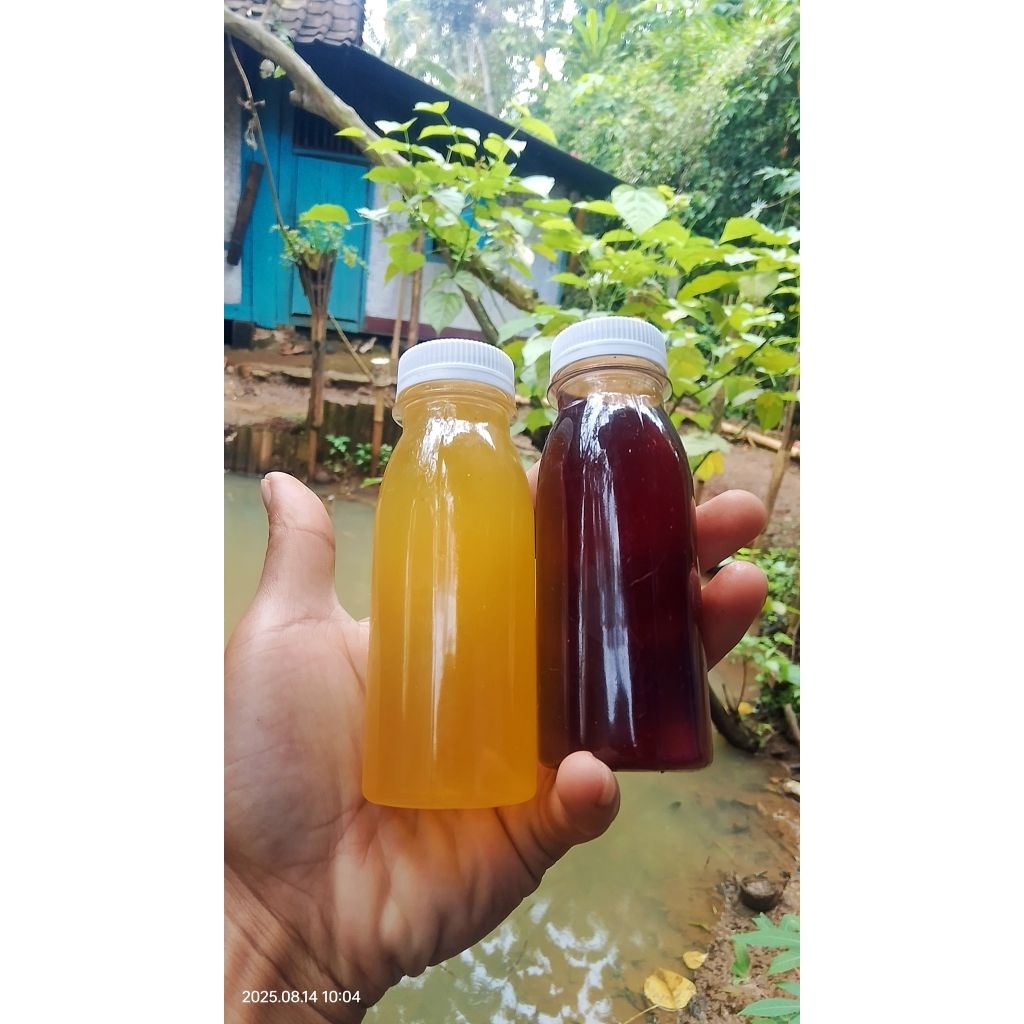 

MADU ODENG ASLI MURNI 100 mili TANPA CAMPURAN