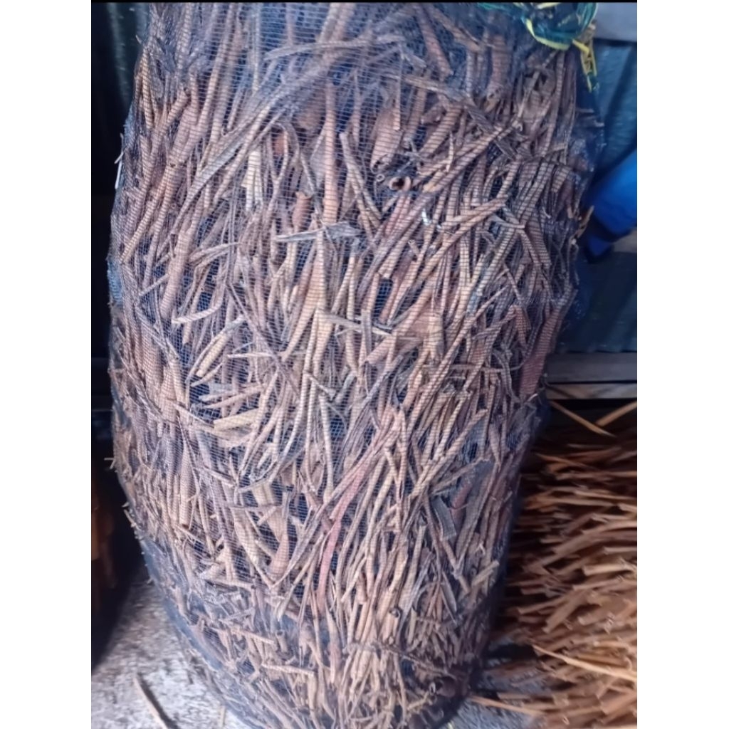 

kulit kayu manis asli kerinci