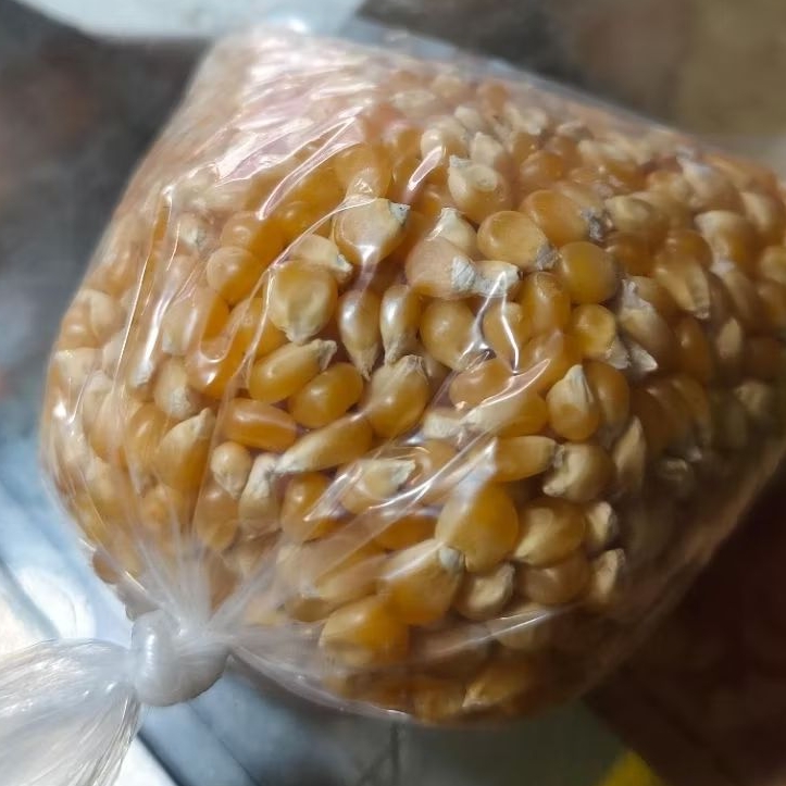 

Jagung Pop Corn Repack - 250 gram
