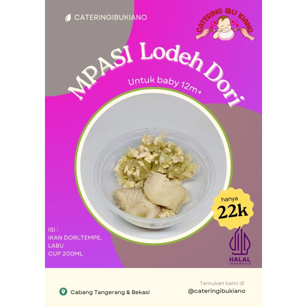 Lodeh Ikan Dori Catering Mpasi Bayi Frozen