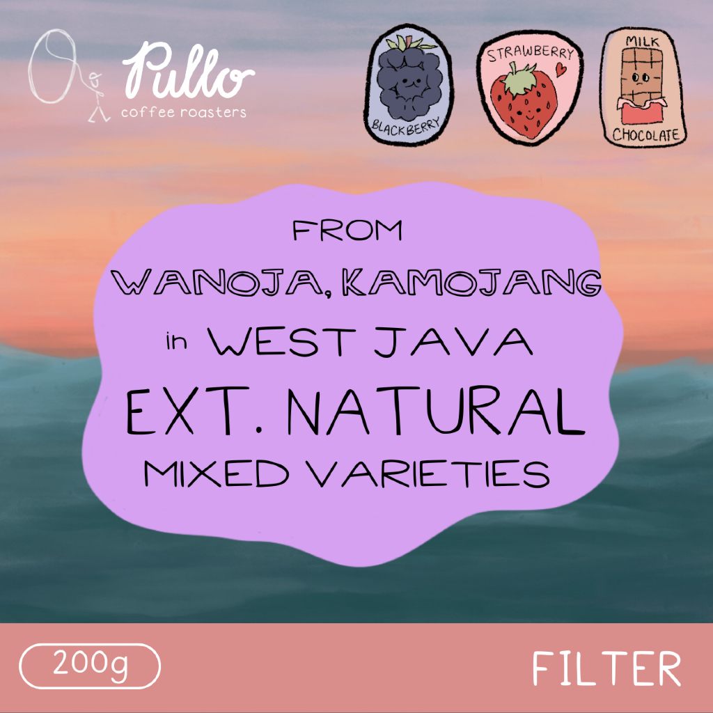 

Filter Roast - Wanoja Kamojang Extended Natural