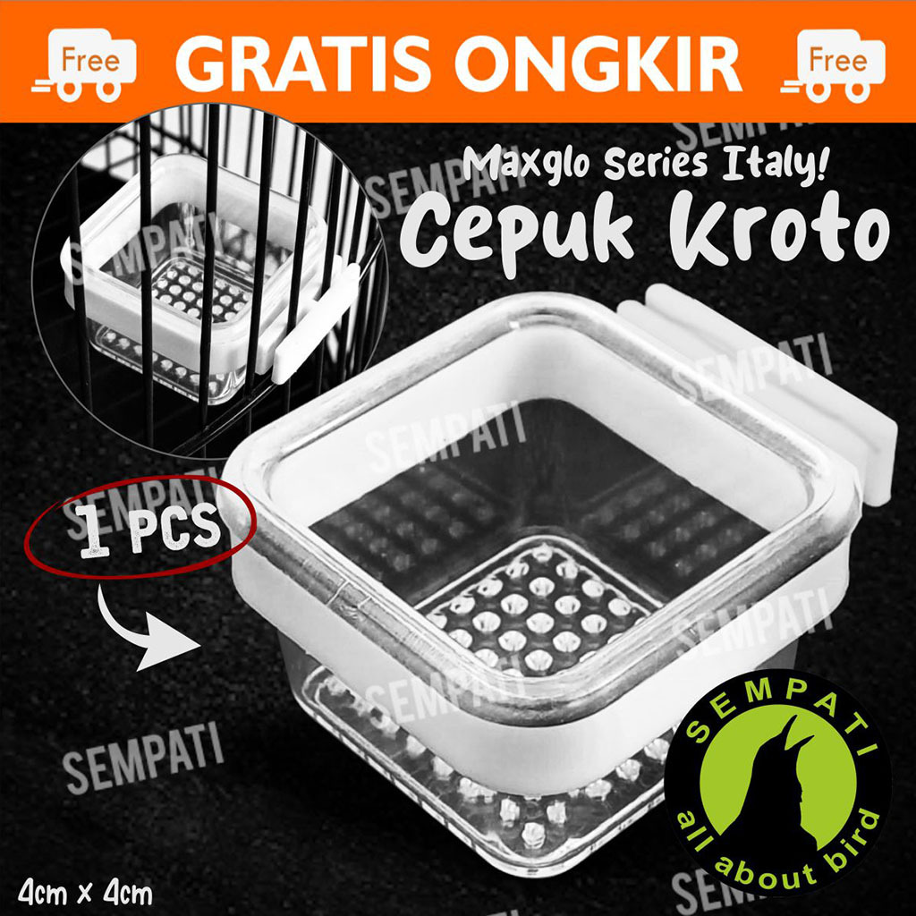 SEMPATI Cepuk Kroto Kotak Maxglo Max Glo Cepuk Wadah Ulat Jangkrik Pur Kotak Bening Transparan Wadah