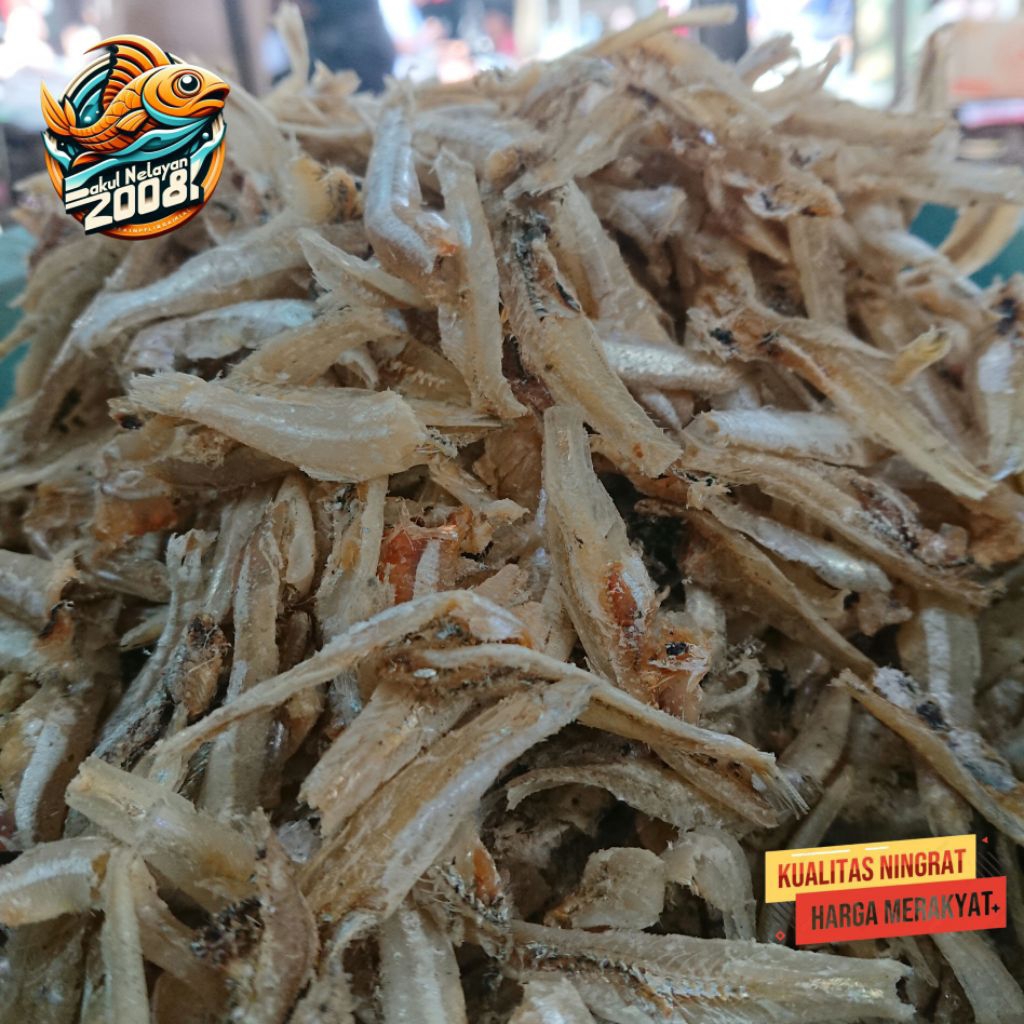 Ikan teri jengki belah | ikan teri jengki