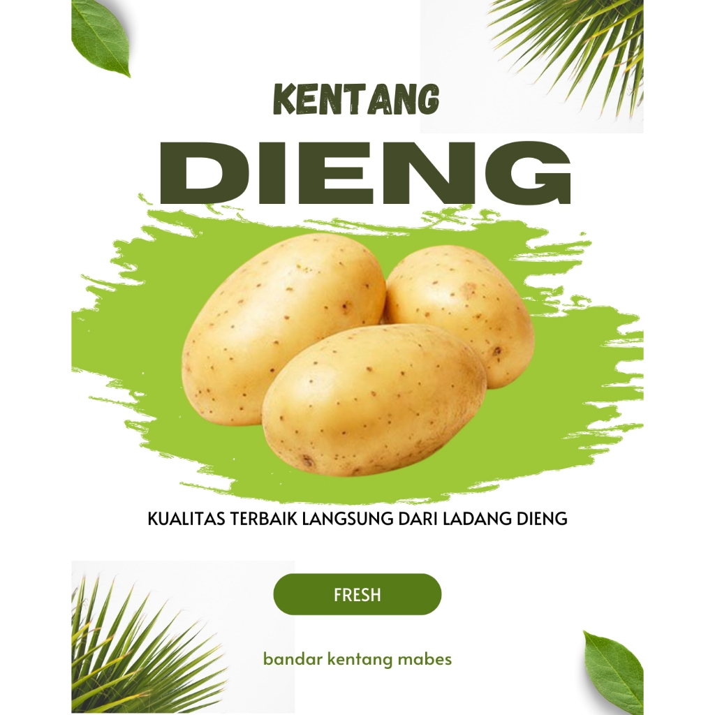 

( 1KG ) KENTANG DIENG UKURAN BESAR FRESH DAN PREMIUM KUALITAS TERBAIK