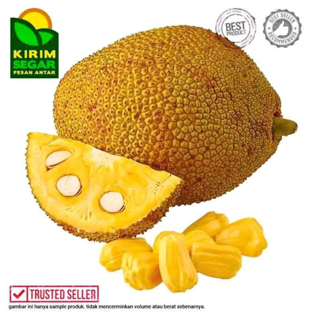 

nangka Sri madu manis 2kg premium100%segar
