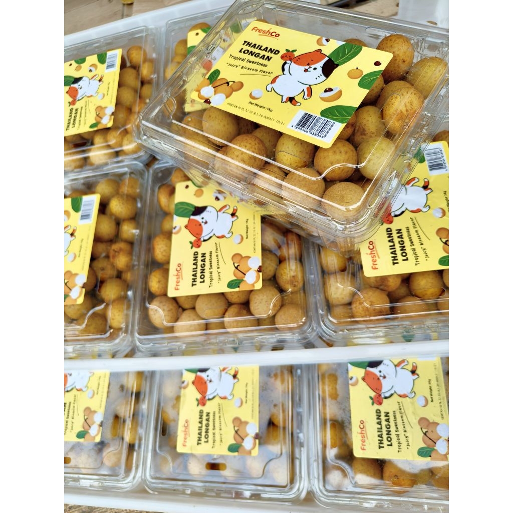 

LENGKENG Thailand LENGKENG MAS Bangkok longan tanpa ranting