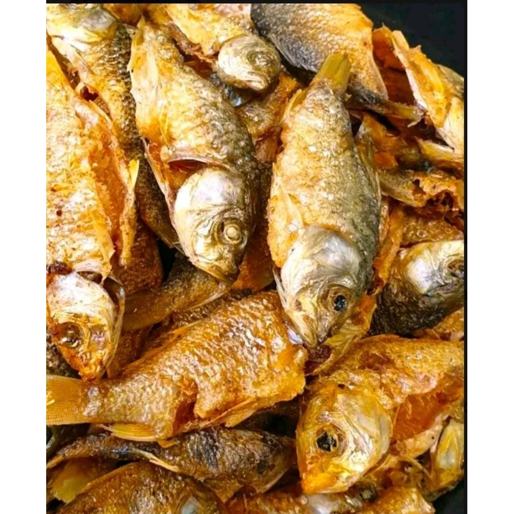 

Ikan mas goreng kering ukuran besar sedang kecil food