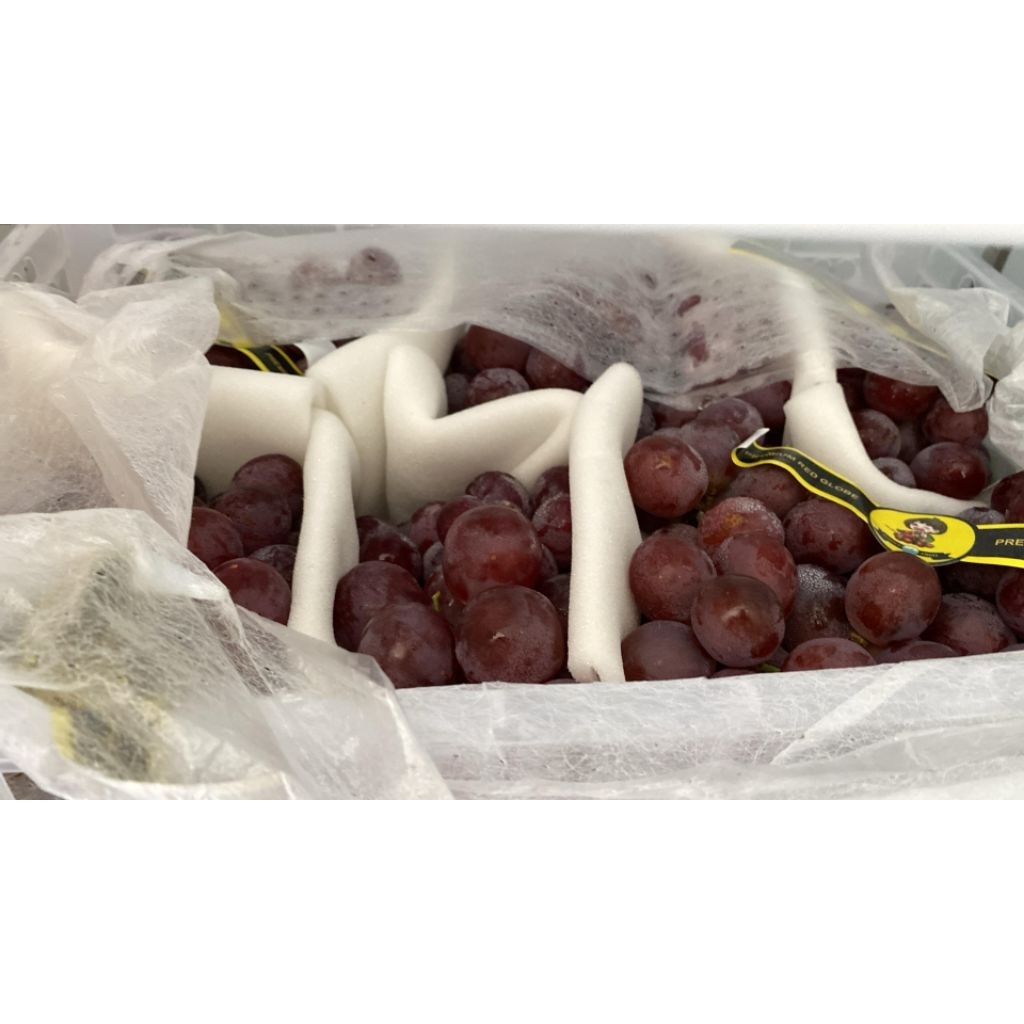 

ANGGUR RED GLOBE RRC (1kg)