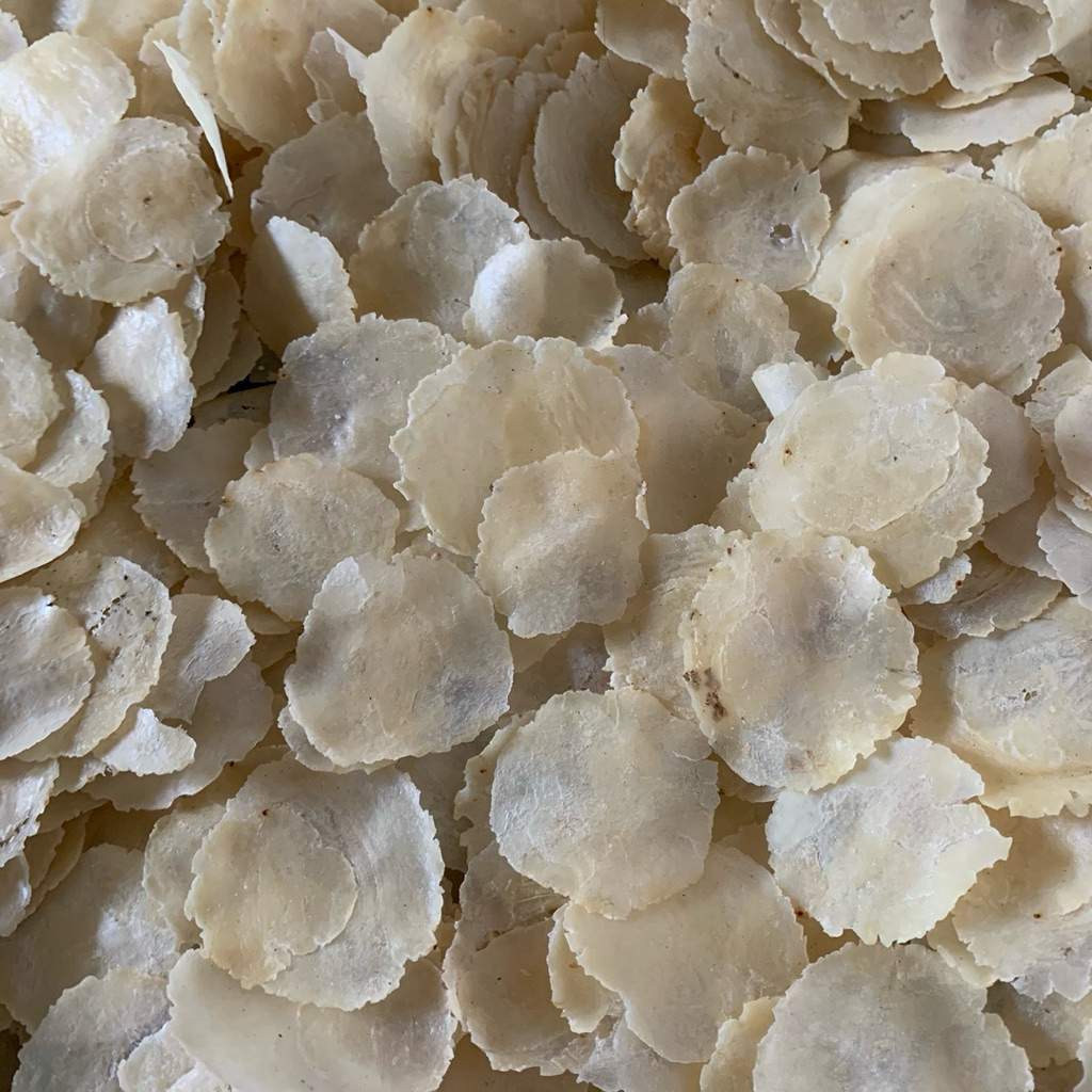 

Emping Melinjo Mentah Super Tipis Basah/Setengah kering/500gr