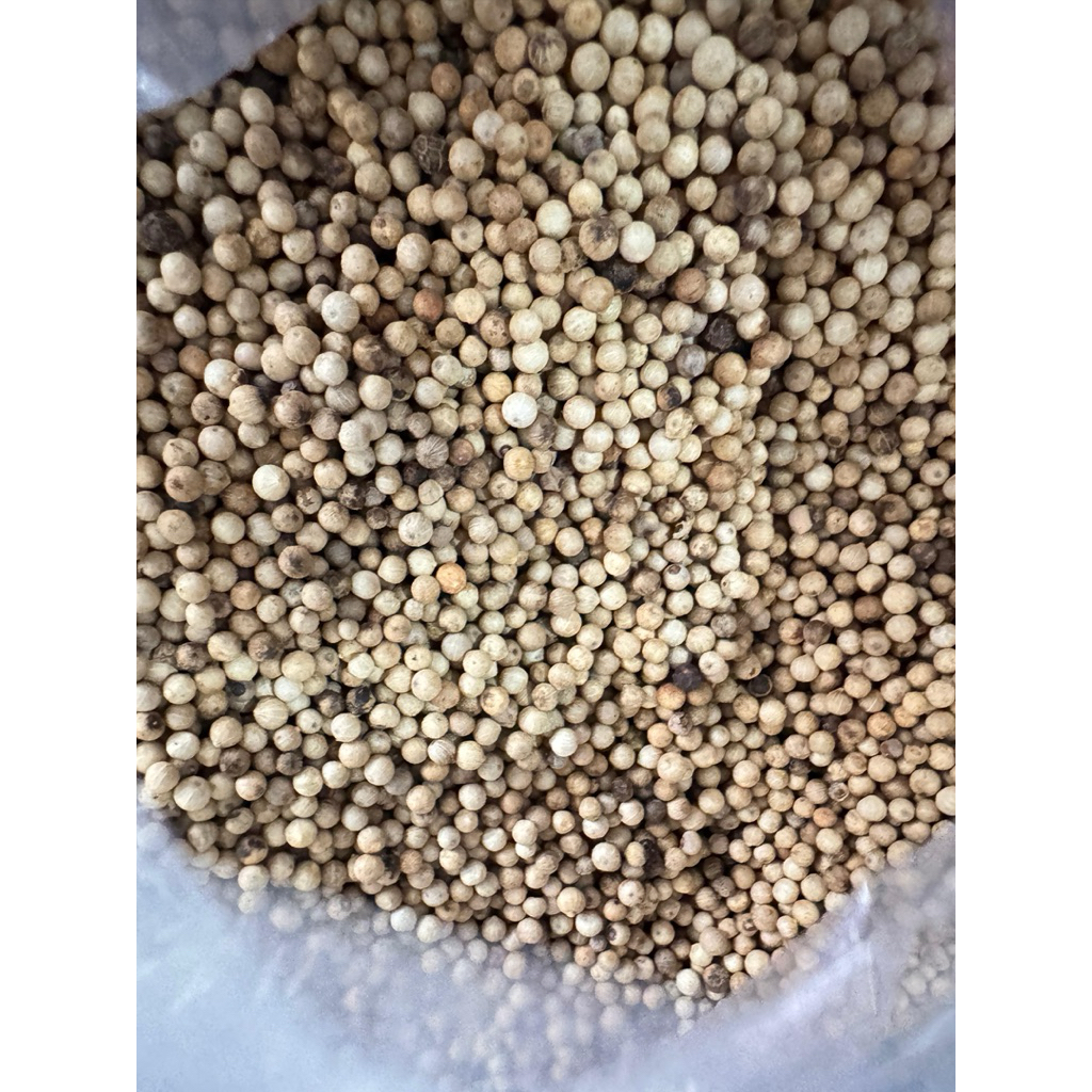 

Lada Putih Merica Bulat 500 Gram