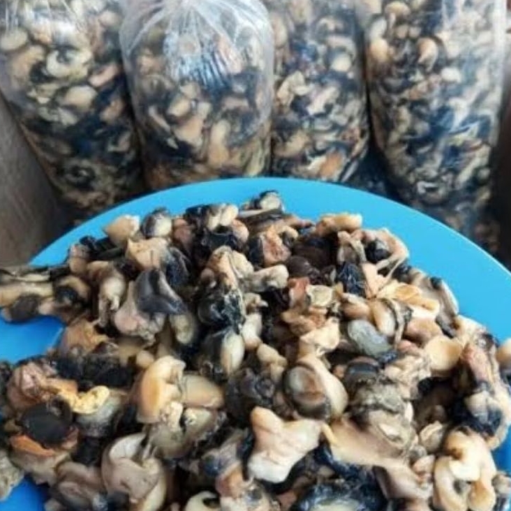 

DAGING KEONG SAWAH BERSIH ISI 500gram