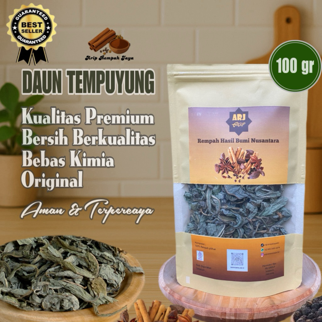 

Daun Tempuyung Kering 100 gram || Murni Daun Tanpa Batang
