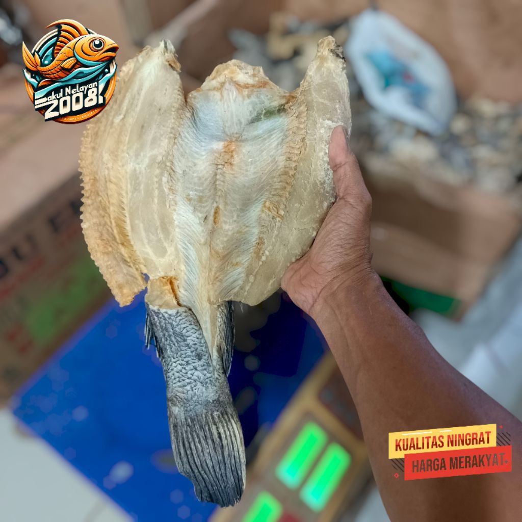 

Ikan asin gabus | uk besar