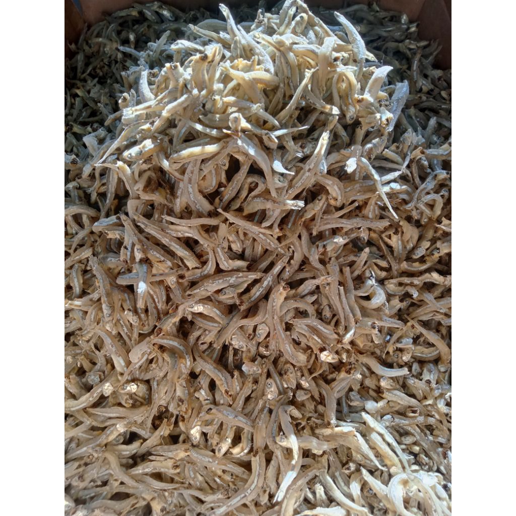 

[COD] TERI BUNTIO SMR | TERI PULAU KASAR [ 1 KG ] [ 500 GR ] [ 250GR ] QUALITY SUPER DAN BERSIH [ TIDAK TERLALU ASIN ]