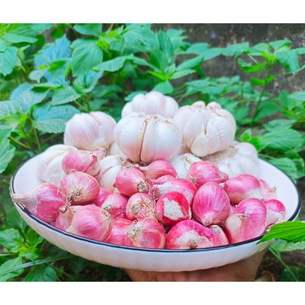 

1 set bawang merah dan bawang putih kemasan 1kg
