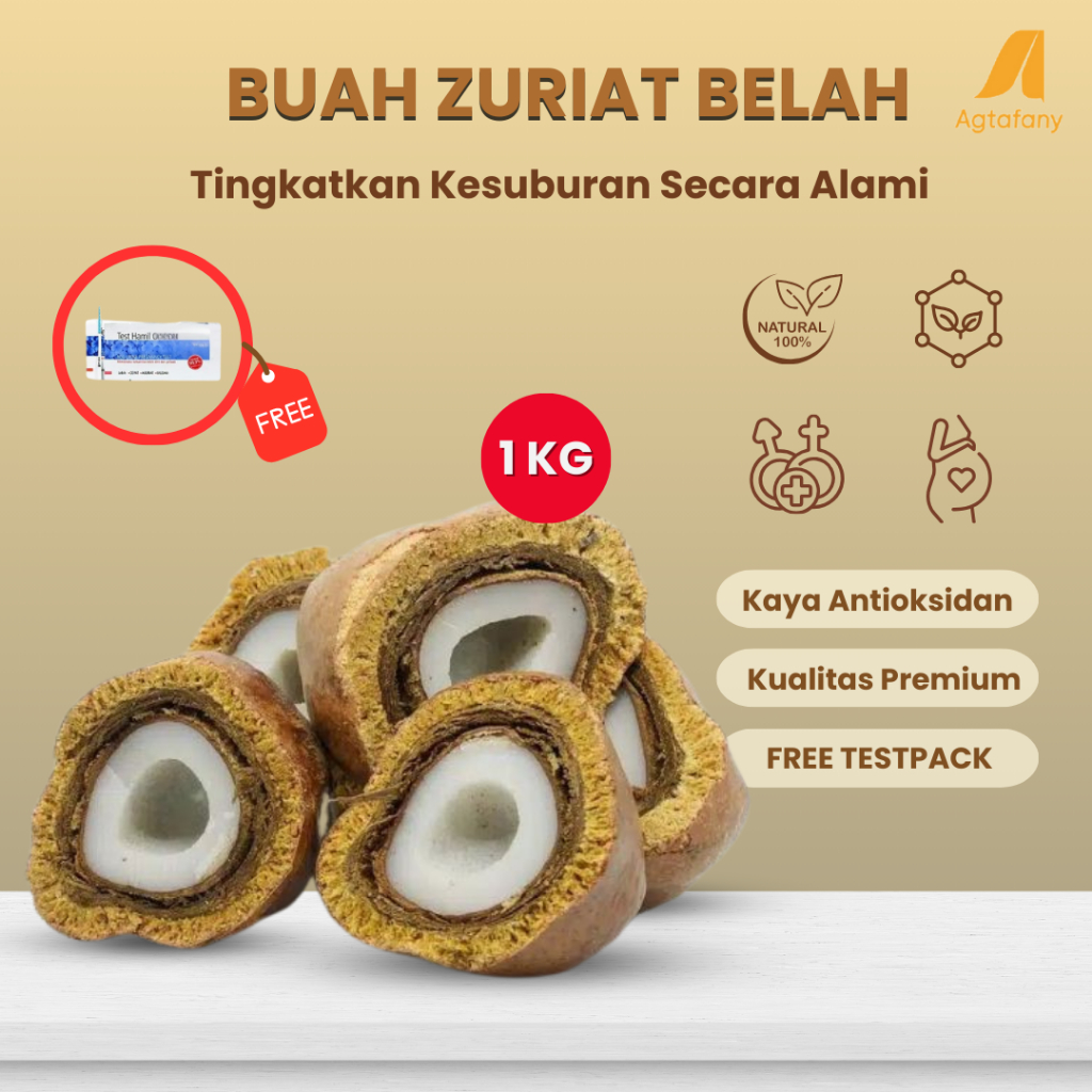 

1 Kg Buah Zuriat Mesir Sudah Dibelah | Buah Zuriyat Belah Doum Promil FREE TESTPACK