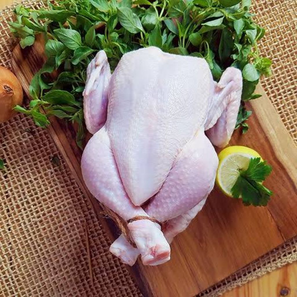 

AYAM 1 EKOR UTUH BERSIH HALAL FROZEN FOOD