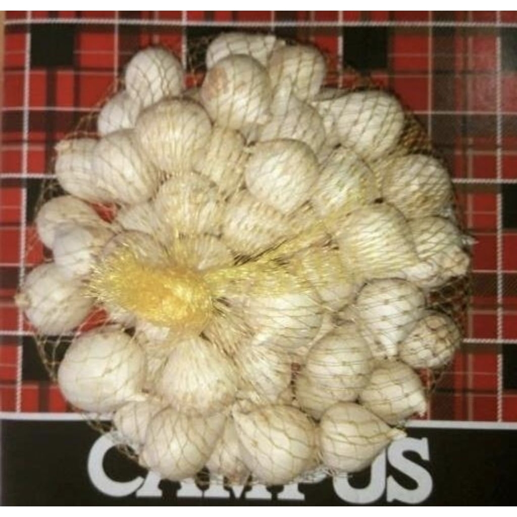 

Bawang putih tunggal/bawang putih lanang/bawang kesehatan herbal 500 gr