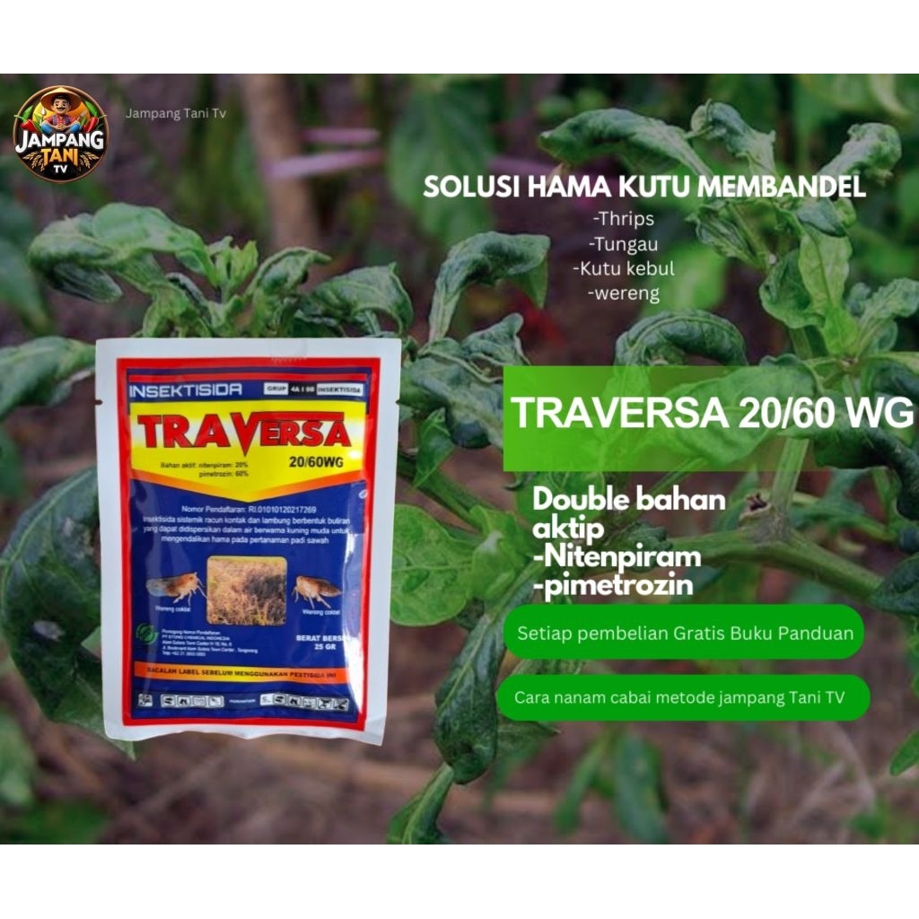 INSEKTISIDA TRAVERSA 20/60 WG
