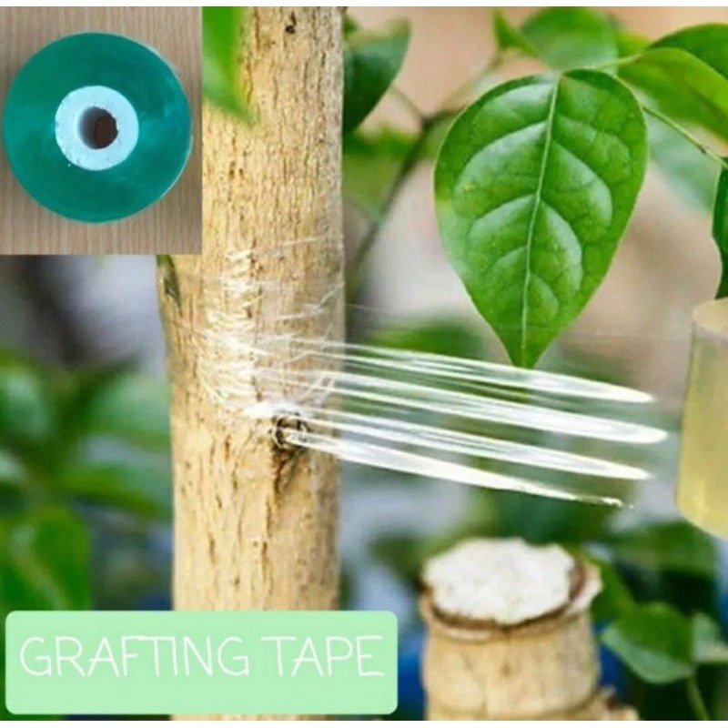 Grafting Tape / Plastik Okulasi / sambungan tanaman / parafilm