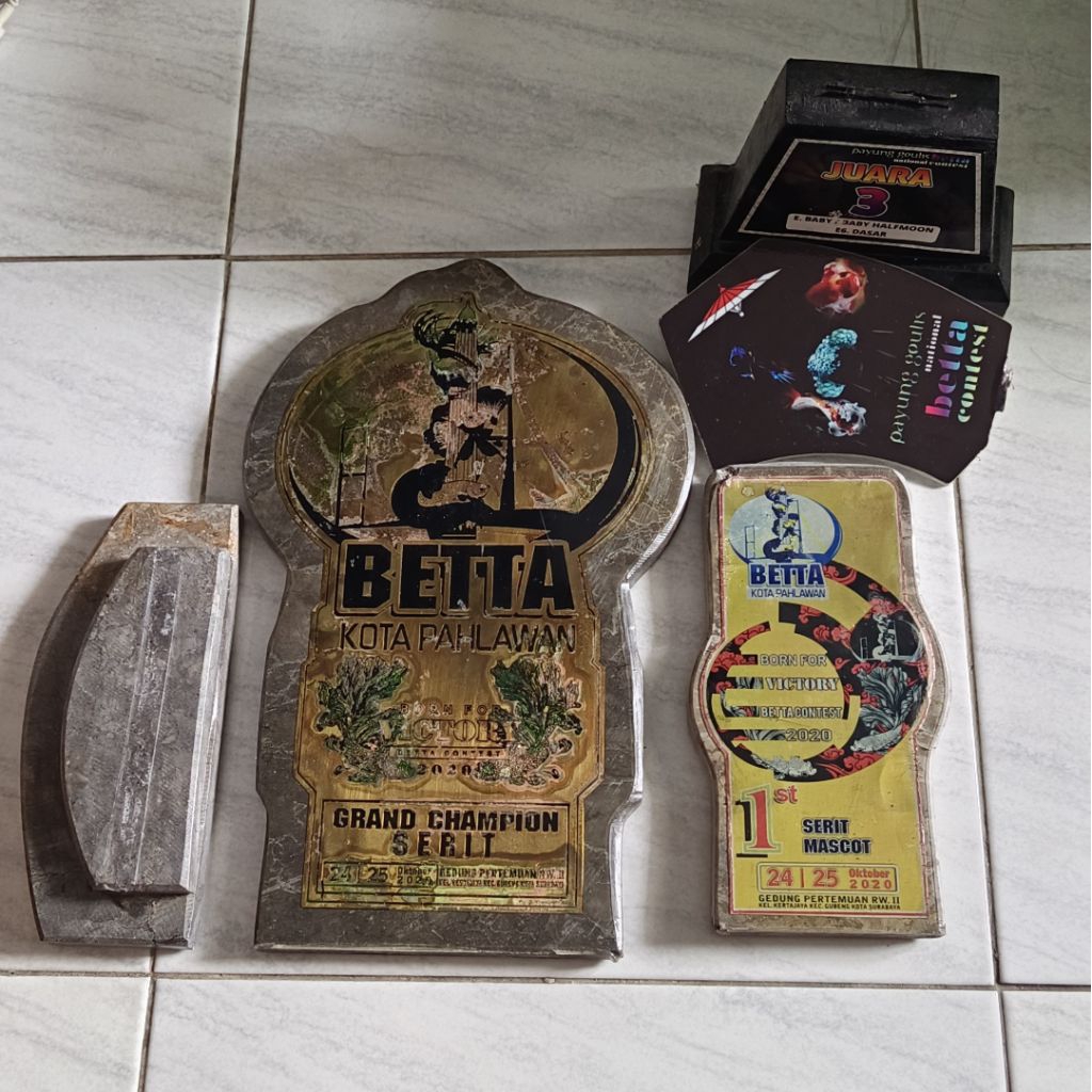 Piala Cupang Grand Champion Betta Kota Pahlawan 2020 Serit/CrownTail Bonus Piala Placing