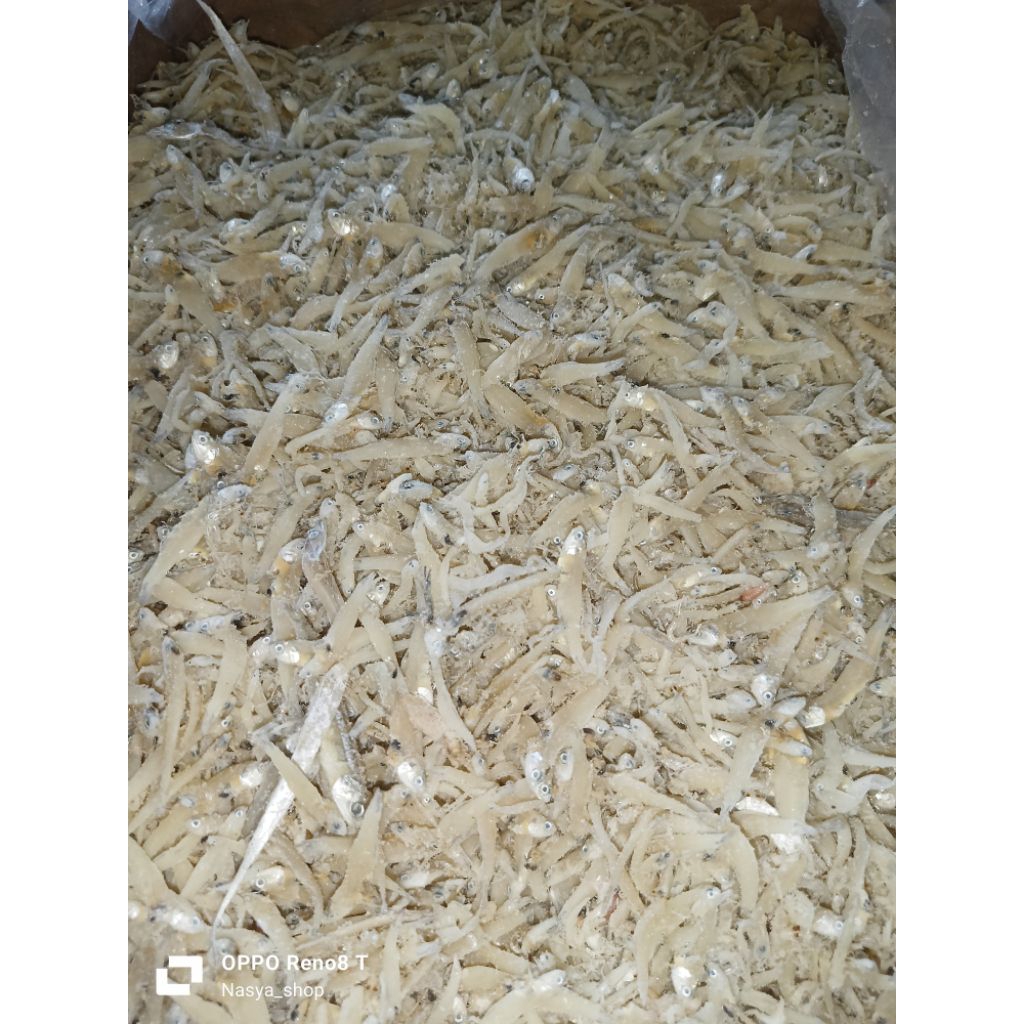 

IKAN TERI PUTIH KUALITAS SUPER